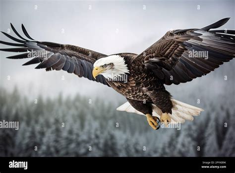 Adler! Ein majestätischer Vogel des Himmels mit einem unbezwingbaren Blick und scharfen Krallen, der die Prärie beherrscht