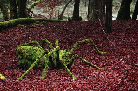  Hermannschnecke: Ein faszinierender Landgast mit einem Haus auf dem Rücken und einer Vorliebe für feuchte Wälder!