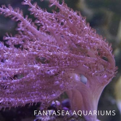  Tentakel-Seele! Ein Einblick in das faszinierende Leben der Tree Coral